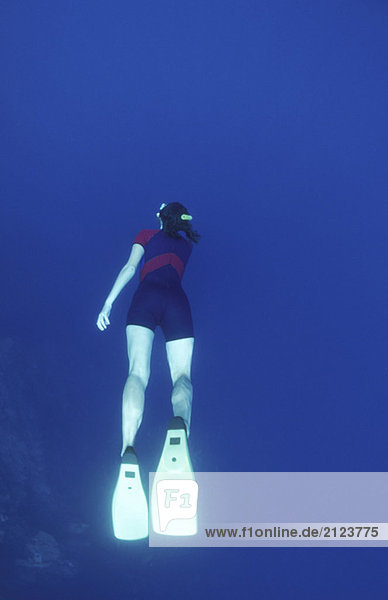 Female diver  rear view