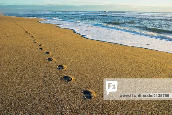 Footprints in the sand  Kohaihai Beach  Karamea  New Zealand