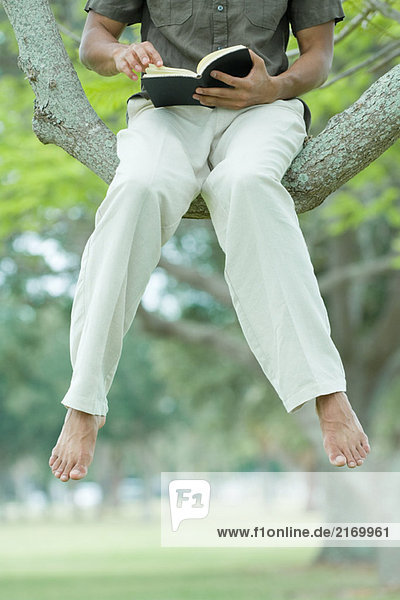 Mann sitzend in Baumlesebuch mit baumelnden Beinen  Blick in den Ausschnitt