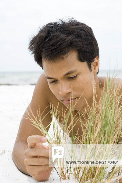 Mann liegt am Strand und berührt Dünengras  Nahaufnahme