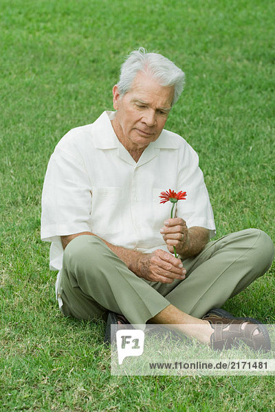 Älterer Mann auf Gras sitzend  Blume haltend  volle Länge