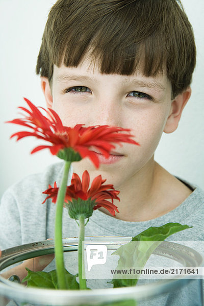 Boy holding gerbera daisies  looking at camera