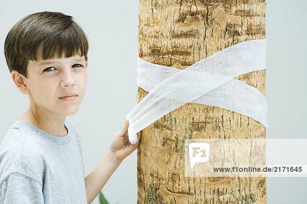 Boy wrapping bandage around tree trunk  looking at camera