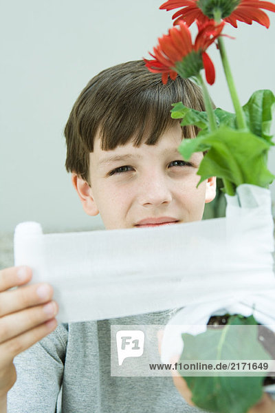 Boy wrapping gauze around gerbera daisies  looking at camera