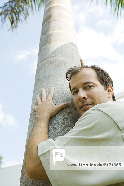 Mann umarmt Baum  Blick über die Schulter auf die Kamera  Blick in den niedrigen Winkel