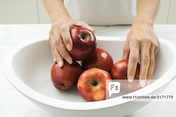 Frau legt Äpfel in die Schale  abgeschnittene Ansicht der Hände