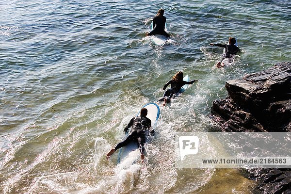 Four people on surfboards in the water.