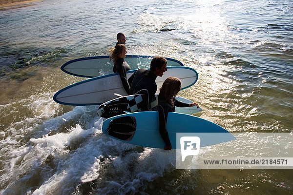 Vier Leute die Surfbretter ins Wasser tragen lachend.