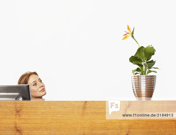 Frau mit einer Pflanze am Schreibtisch