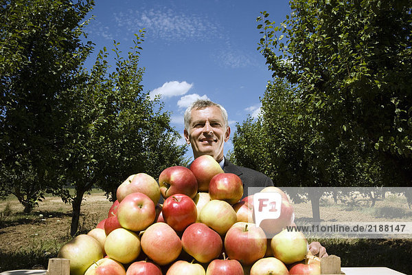 Mann sitzt hinter einem Apfelhaufen im Obstgarten.