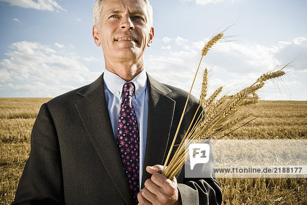 Geschäftsmann in einem Weizenfeld  der Weizen hält.