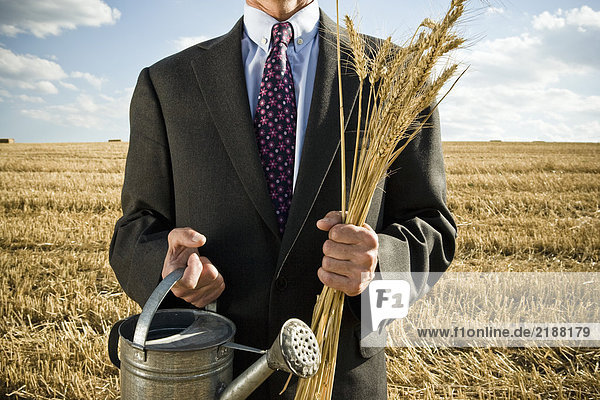 Geschäftsmann in einem Weizenfeld  der Weizen hält.