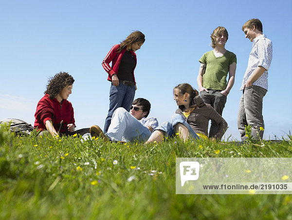 Gruppe junger Leute  die sich im Gras entspannen.