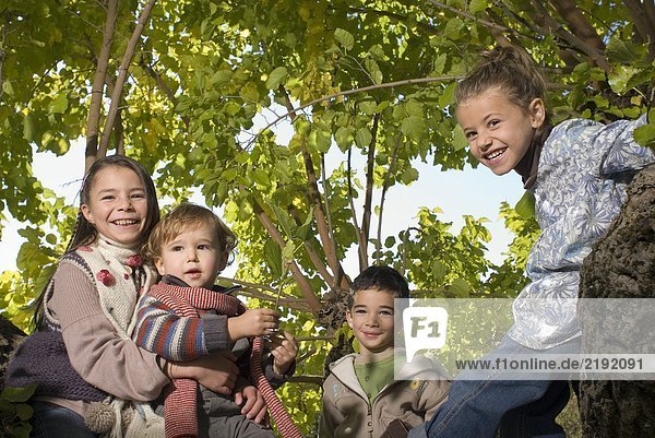 Group of kids in a tree.
