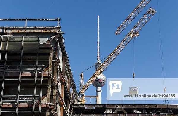 Krane auf Baustelle mit Fernsehen Turm im Hintergrund  Palast der Republik  Alexanderplatz  Berlin  Deutschland