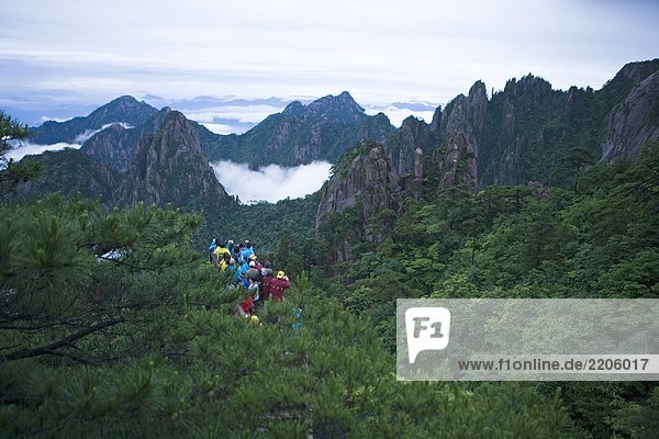 People in forest  Huangshan Mountains  Huangshan  Anhui Province  China