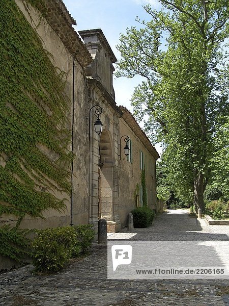 Ivy die Wände des Gebäudes  Languedoc Roussillon  Frankreich