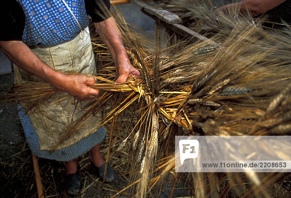 Woman braiding wheat ears  Fontanarosa  Campania  Italy