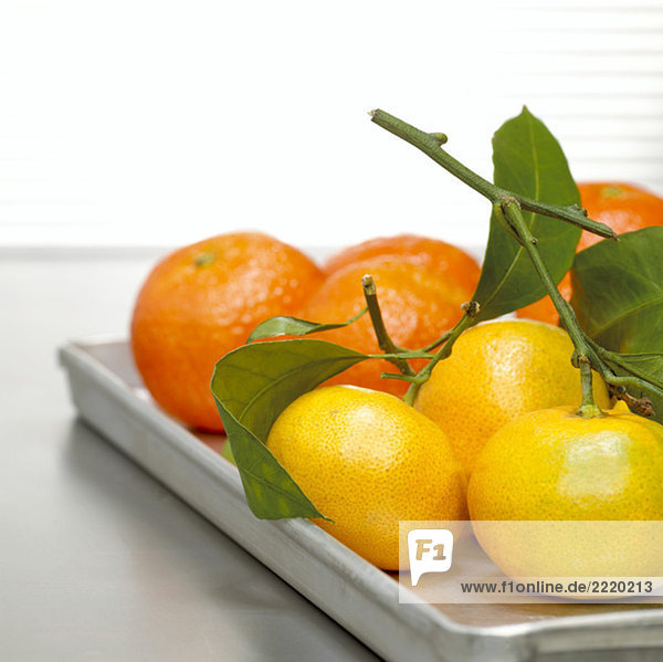 Mandarinen auf Tablett  Nahaufnahme