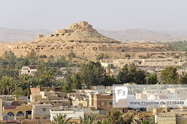 Erhöhte Ansicht der Stadt in der Wüste  zur Oase Siwa  Libysche Wüste Ägypten