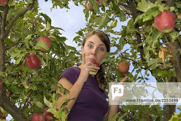 Portrait einer Frau Eating Apple auf Baum