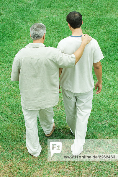 Father and adult son walking together outdoors  rear high angle view
