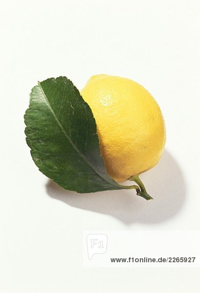 Eine Zitrone mit Blatt