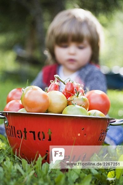 Verschiedene Tomaten im Sieb  im Hintergrund kleines Mädchen