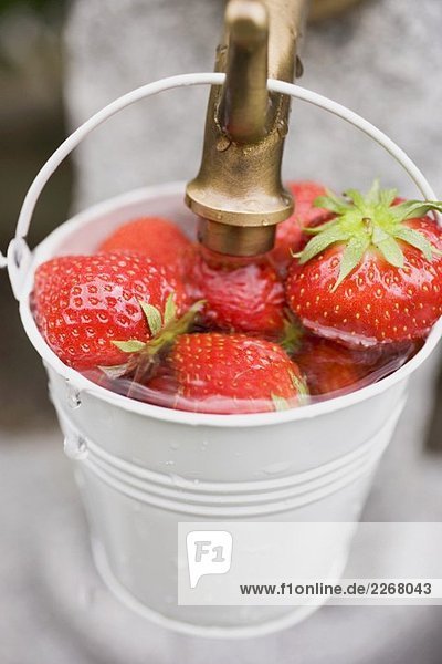 Erdbeeren im Eimer waschen