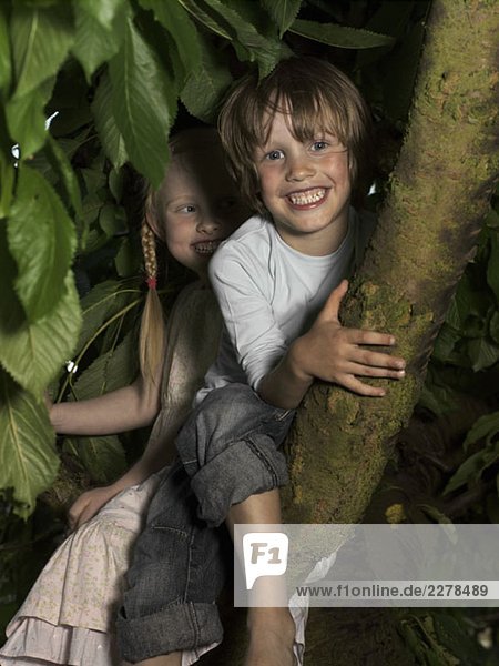 Zwei Kinder auf einem Baum sitzend