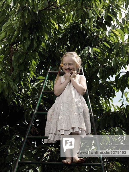 Ein Mädchen steht auf einer Leiter unter einem Kirschbaum.