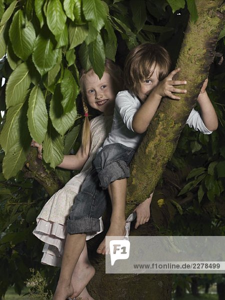 Zwei Kinder auf einem Baum sitzend