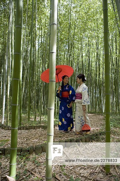Zwei Frauen mit Kimonos  die durch einen Bambushain gehen.