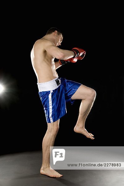 Ein Boxer beim Üben