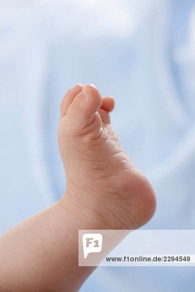 Baby-Fuß  niedriger Abschnitt (3-6 Monate)  Nahaufnahme