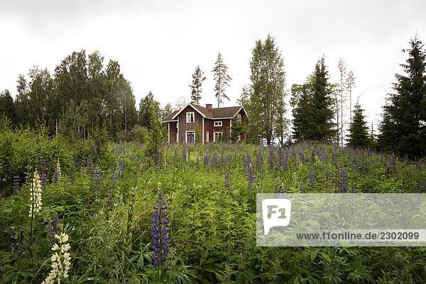 Wohnhaus Wald verlassen Schweden