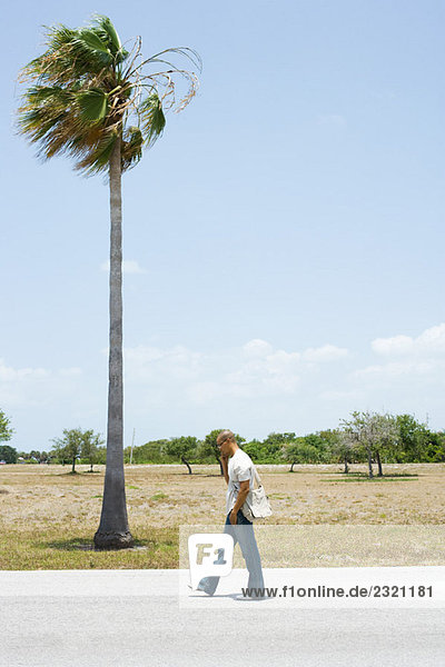 Man walking along road beside palm tree  using cell phone  side view