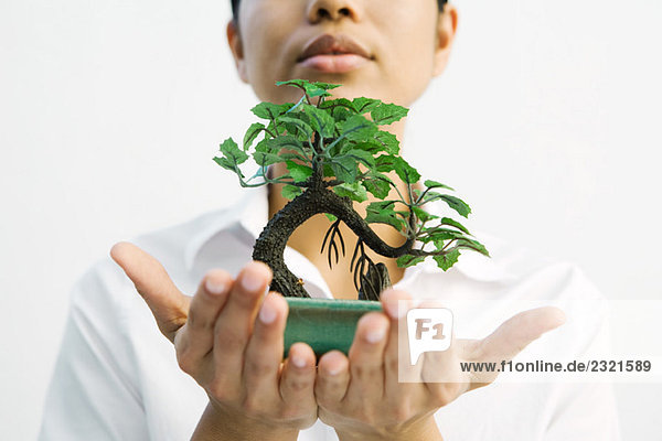 Woman holding bonsai tree out in hands