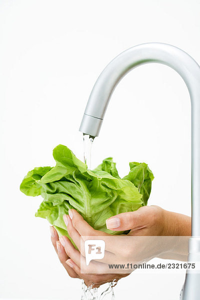 Frau spült Salat unter dem Wasserhahn  abgeschnittene Ansicht der Hände