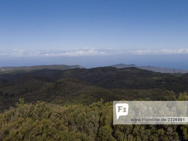 Panoramische Ansicht der Wald auf Bergwelt  Teneriffa  Kanaren  Spanien