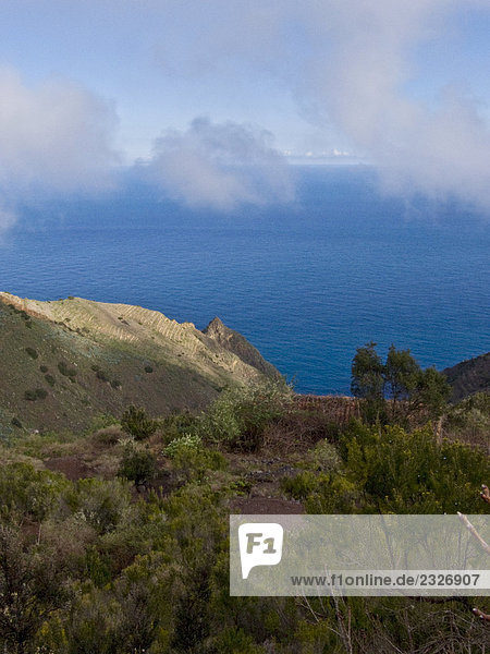 Bäume bei der K??ste mit Blick auf Meer  Garajonay Nationalpark  La Gomera  Kanaren  Spanien Garajonay Nationalpark