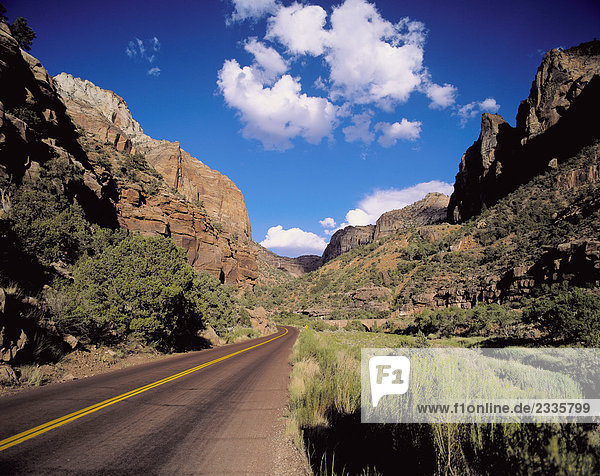 10208395  USA  Amerika  Nordamerika  Utah  Zion National Park  Nationalpark  Landschaft  Autobahn  Berge