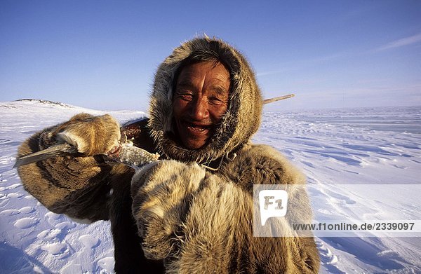 Kanada Baker Lake Nanuvut Inuit Roher Fisch Essen Kanada Baker Lake Nanuvut Inuit Roher Fisch Essen