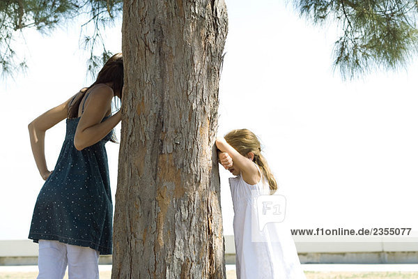 Zwei Schwestern spielen Verstecken  eine schaut um den Baum  die andere zählt.