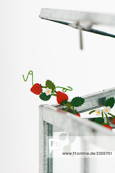 Gefälschte Erdbeeren aus dem Glaskasten