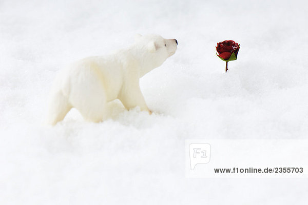 Eisbärenspielzeug nähert sich der Rose im Schnee