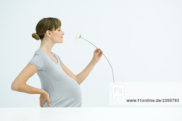 Pregnant woman smelling flower  smiling  side view