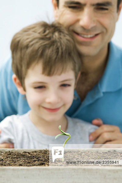 Vater und Sohn schauen gemeinsam auf Pflanzensetzlinge