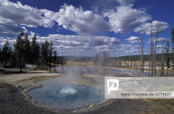 USA  Wyoming  Yellowstone Nationalpark. Firemole Frühling