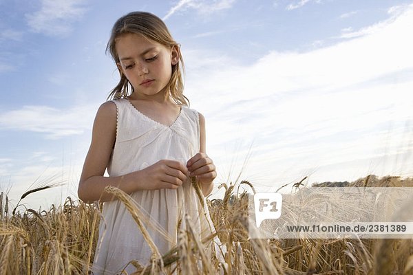 Junges Mädchen im Maisfeld stehend